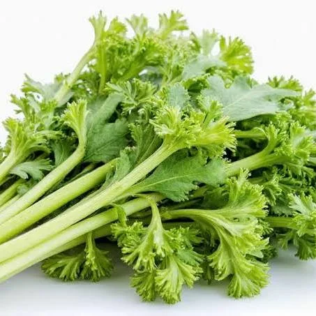 芹菜1
